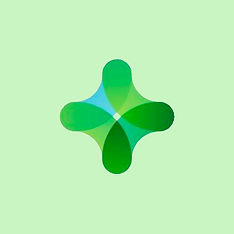 Find Soulation AI logo green bg.jpg